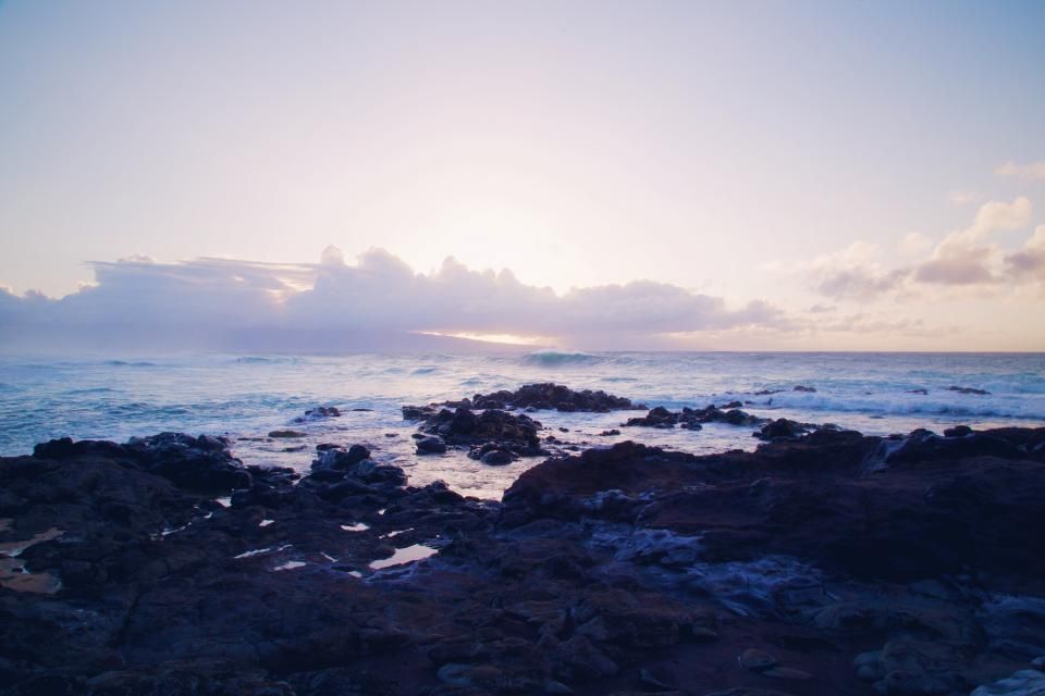 The beach and the water beyond it