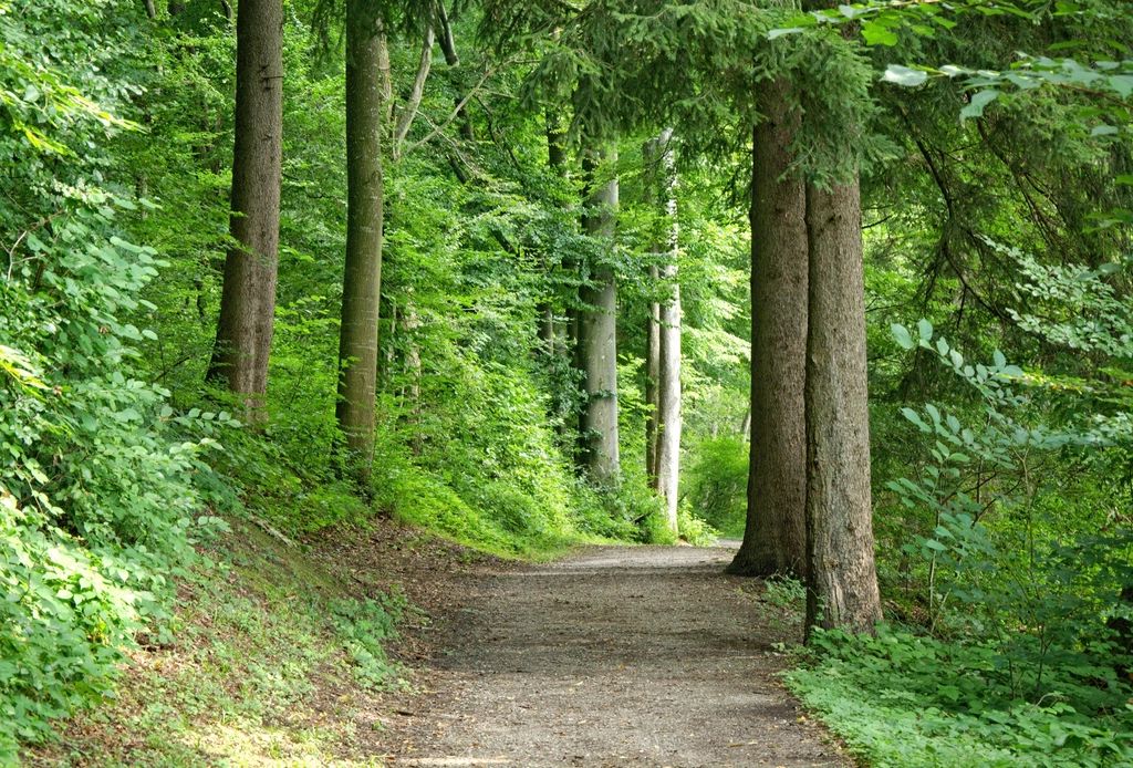 The planted gardens on the grounds